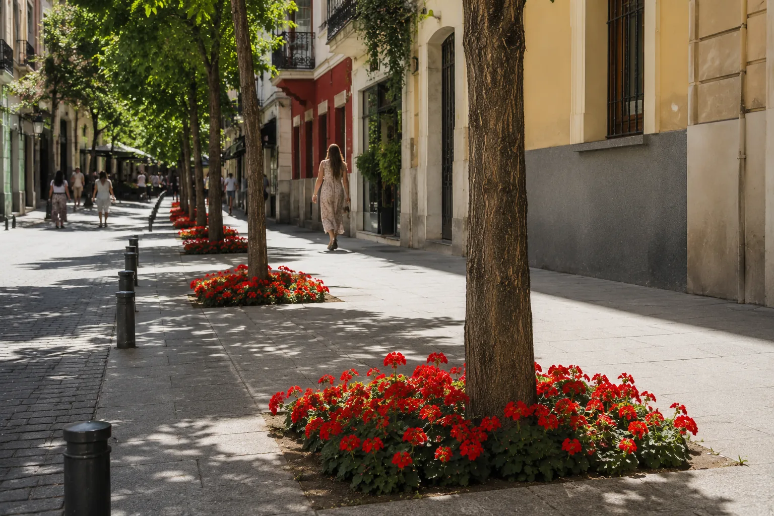 Después: la misma calle de Lavapiés con una hilera de alcorques llenos de geranios rojos en flor